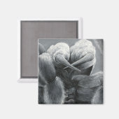 Araneide Magneet (Voorkant / Achterkant)