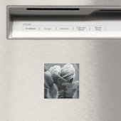 Araneide Magneet (Insitu (Vaatwasser))