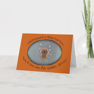 Araneus Orb Weaver Spider Halloween Card Kaart