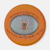 Araneus Orb Weaver Spider Halloween Magnet (Voorkant)
