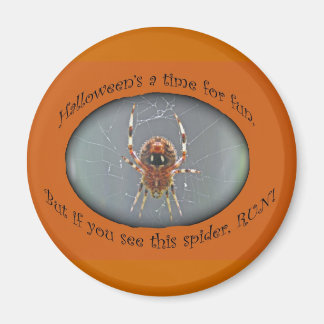 Araneus Orb Weaver Spider Halloween Magnet