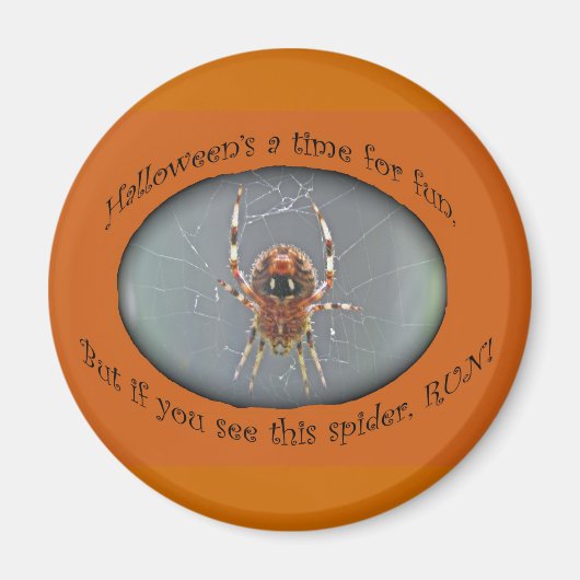 Araneus Orb Weaver Spider Halloween Magnet (Voorkant)