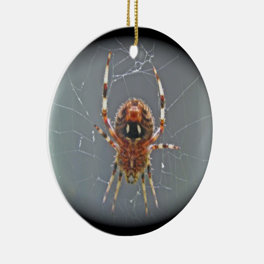 Araneus Orb Weaver Spider kerstversiering Keramisch Ornament (Rechts)