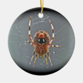 Araneus Orb Weaver Spider kerstversiering Keramisch Ornament (Voorkant)