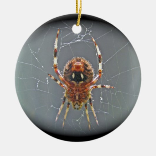 Araneus Orb Weaver Spider kerstversiering Keramisch Ornament (Voorkant)
