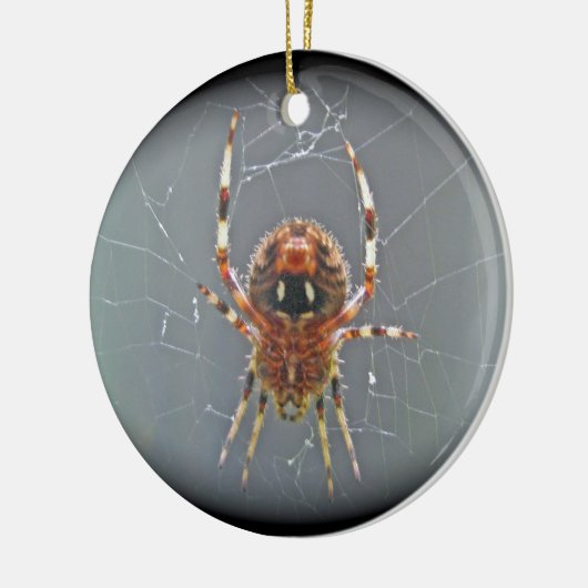 Araneus Orb Weaver Spider kerstversiering Keramisch Ornament (Links)