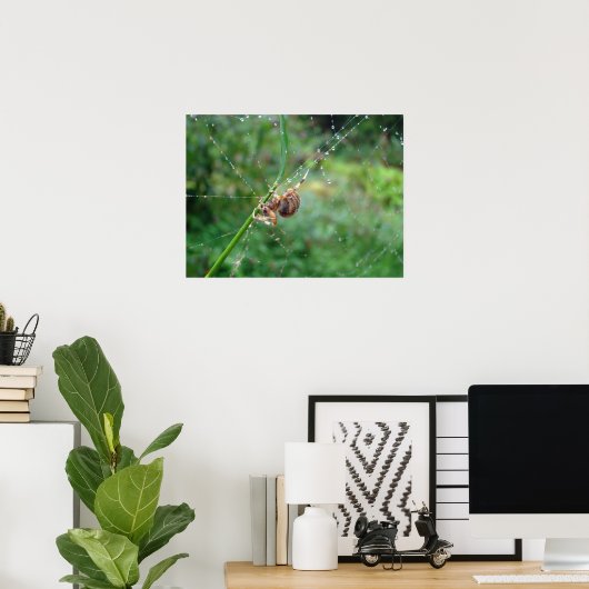 Araneus - Orb Weaver Spider Poster (Thuiskantoor)