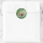 Araneus - Orb Weaver Spider Ronde Sticker (Tas)