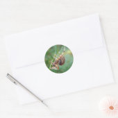 Araneus - Orb Weaver Spider Ronde Sticker (Envelop)