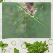 Araneus - Orb Weaver Spider Theedoek (Gevouwen)