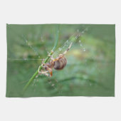 Araneus - Orb Weaver Spider Theedoek (Horizontaal)