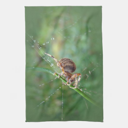 Araneus - Orb Weaver Spider Theedoek (Verticaal)