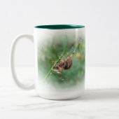Araneus - Orb Weaver Spider Tweekleurige Koffiemok (Links)