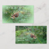 Araneus - Orb Weaver Spider Visitekaartje (Voorkant / Achterkant)