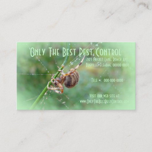 Araneus - Orb Weaver Spider Visitekaartje (Voorkant)