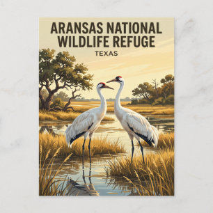 Aransas National Wildlife Refuge VS Briefkaart