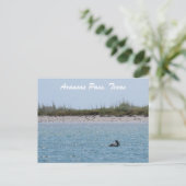 Aransas Pass Texas Kust met Pelikaan Briefkaart (Staand voorkant)