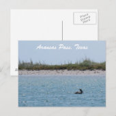 Aransas Pass Texas Kust met Pelikaan Briefkaart (Voorkant / Achterkant)