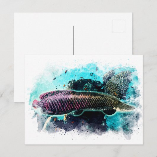 Arapaima Monster Vis Waterverf Pirarucu Paiche Briefkaart (Voorkant / Achterkant)