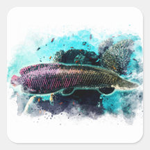 Arapaima Monster Vis Waterverf Pirarucu Paiche