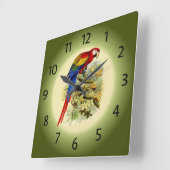 Arara macao - Ara macao - Scarlet Macaw - ~ Vierkante Klok (Hoek)