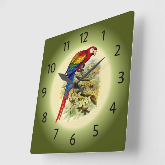 Arara macao - Ara macao - Scarlet Macaw - ~ Vierkante Klok (Hoek)