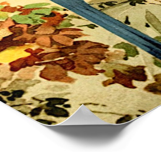 Aráras, Emil August Göldi (1900-1906) Poster (Hoek)