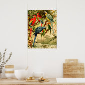 Aráras, Emil August Göldi (1900-1906) Poster (Keuken)