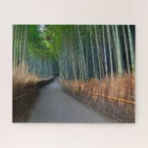 Arashiyama Bamboo Grove in Kyoto Japan