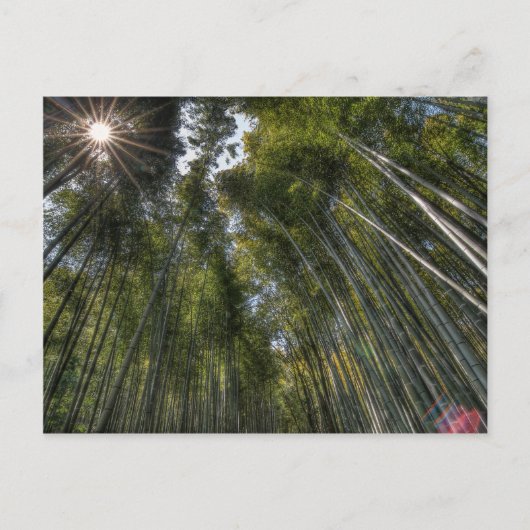 Arashiyama Bamboo Grove - Kyoto, Japan Briefkaart (Voorkant)