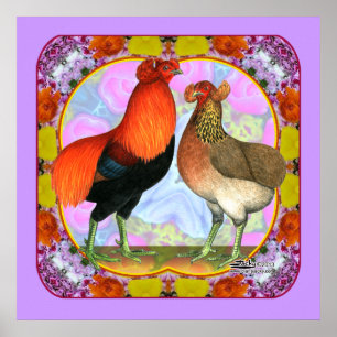 Araucana Chickens Art Poster