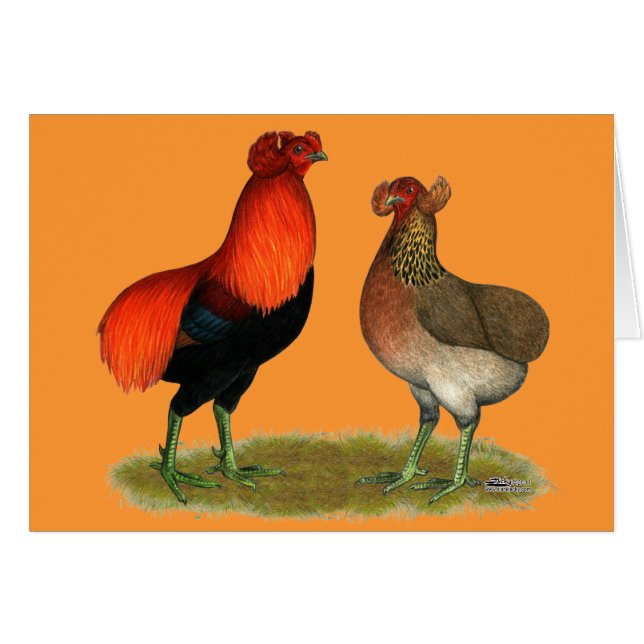 Araucana Red Pair (Voorkant Horizontaal)
