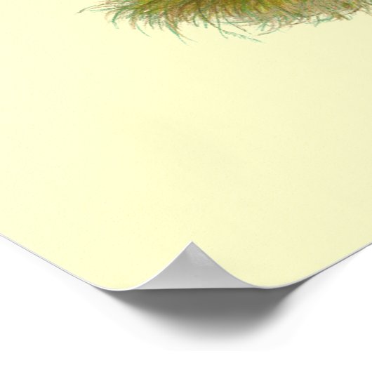 Araucana Red Pair Poster (Hoek)