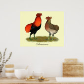 Araucana Red Pair Poster (Keuken)