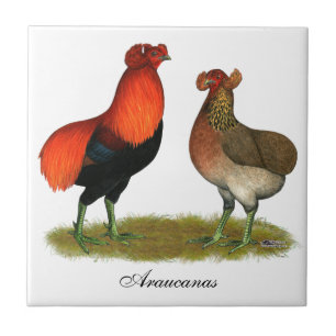 Araucana Red Pair Tegeltje