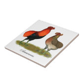 Araucana Red Pair Tegeltje (Zijkant)