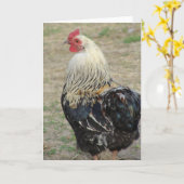 Araucana Rooster Kaart (Gele Bloem)