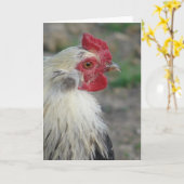 Araucana Rooster Kaart (Gele Bloem)