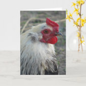 Araucana Rooster Kaart (Gele Bloem)