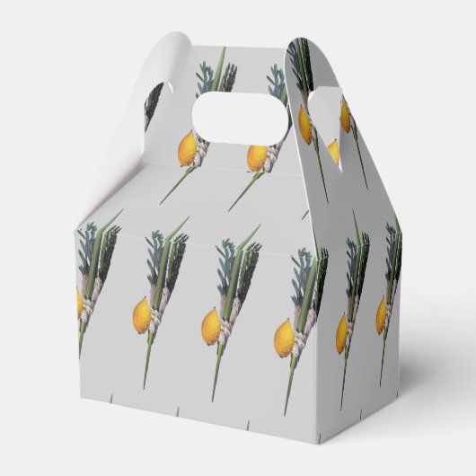 Arba Minim - Lulav, Esrog, Hadas en Aravah Bedankdoosjes (Achterkant)