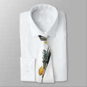 Arba Minim - Lulav, Esrog, Hadas en Aravah Stropdas (Gebonden)