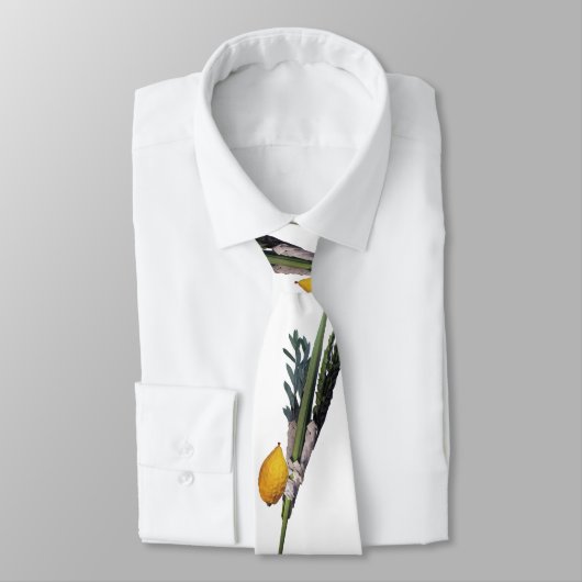 Arba Minim - Lulav, Esrog, Hadas en Aravah Stropdas (Gebonden)