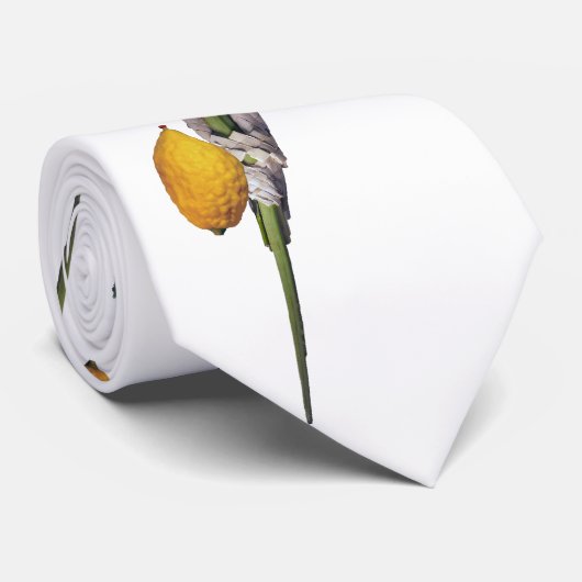 Arba Minim - Lulav, Esrog, Hadas en Aravah Stropdas (Opgerold)