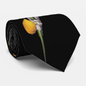 Arba Minim - Lulav, Esrog, Hadas en Aravah Stropdas (Opgerold)