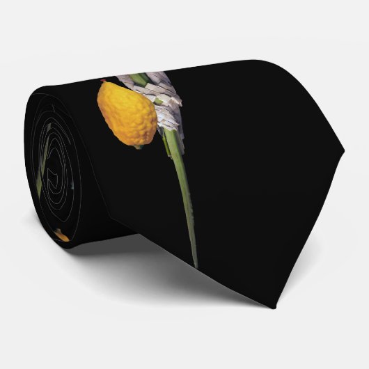 Arba Minim - Lulav, Esrog, Hadas en Aravah Stropdas (Opgerold)