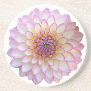Arbatax Dahlia, Roze zandsteen Onderzetter