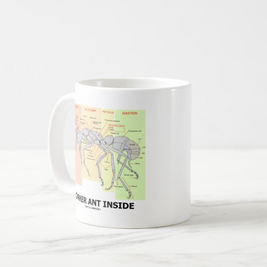 Arbeiderspartij (anatomie) koffiemok (Voorkant links)