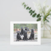 Arbeidskrachten in Noorwegen Briefkaart (Staand voorkant)