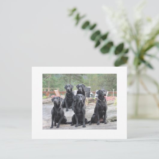 Arbeidskrachten in Noorwegen Briefkaart (Staand voorkant)