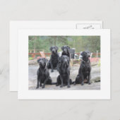 Arbeidskrachten in Noorwegen Briefkaart (Voorkant / Achterkant)